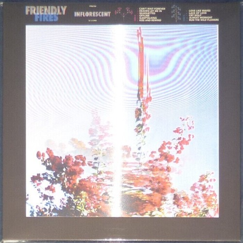 Friendly fires inflorescent - friendly,
