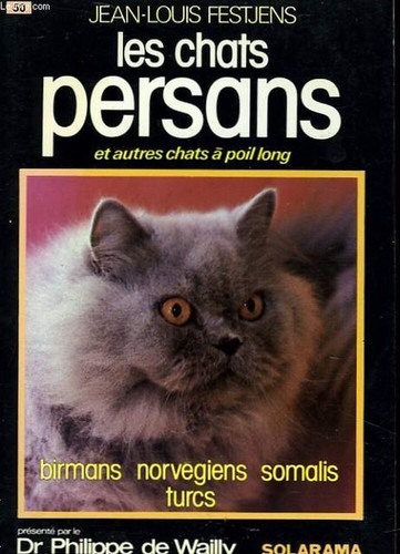 Gatti persiani festjens - gatti,