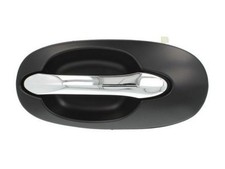 BLIC 6010-53-012403P Maniglia