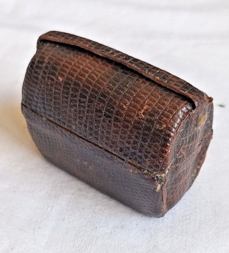 Antique brown ladies travel
