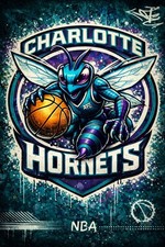 Poster tifoso charlotte - poster,