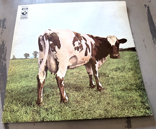 Pink floyd atom heart - pink,