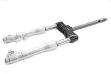 1C000190R FORCELLA ANTERIORE COMPLETA ORIGINALE Piaggio Beverly 125 I.E 11/17