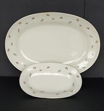 Set 2 Piatti ovali da portata