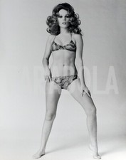 Foto Vintage Erotismo Nudi artistici Vivien Neves 1971 stampa 24x18 cm