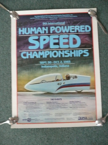 Poster reclinabile 1983 human - reclinabile,