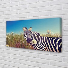 Tulup canvas print 100x50 - print,