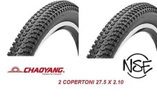 2  COPERTONI-PLEUMATICI PER