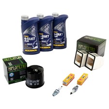 Kit Manutenzione Olio 3L per