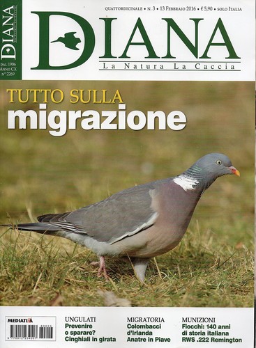 Diana 2016 tutto - diana,