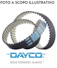 Dayco cinghia distribuzione - cinghia,