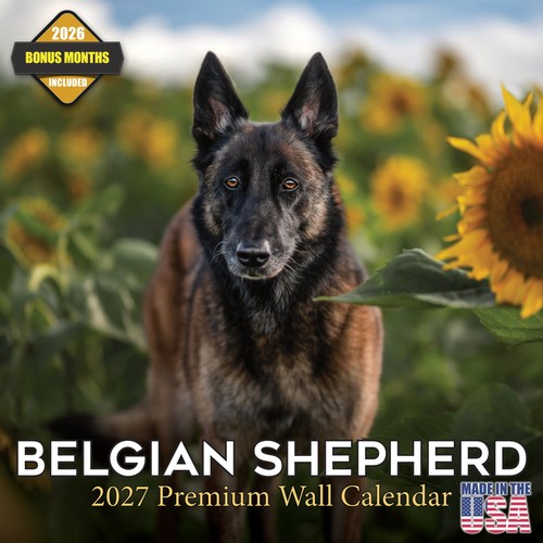 Calendario pastore belga cane - belga,
