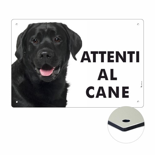 Labrador nero attenti cane - nero, al