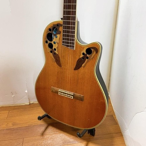 Chitarra acustica elettrica