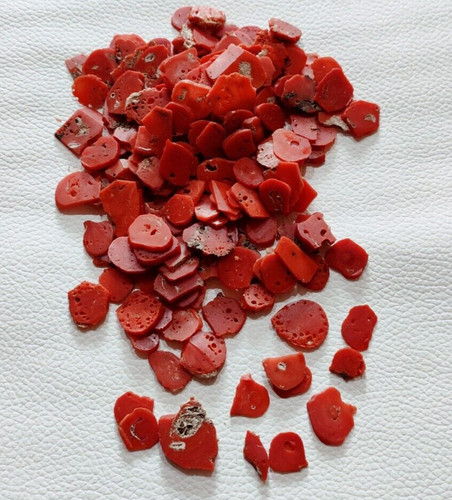 Pietra preziosa grezza corallo