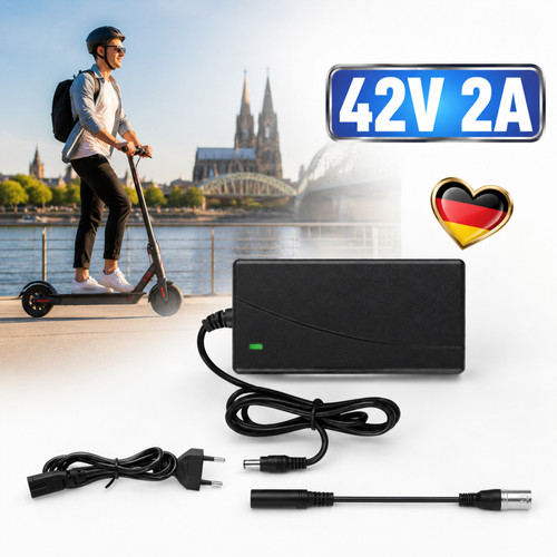 Caricabatteria scooter 42v - caricabatteria,