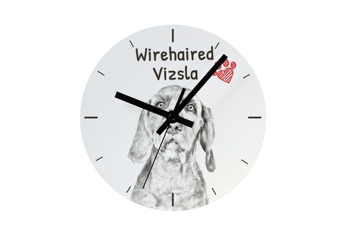 Orologio drahthaar vizsla con - drahthaar,