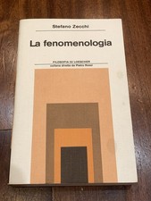 La fenomenologia - Stefano