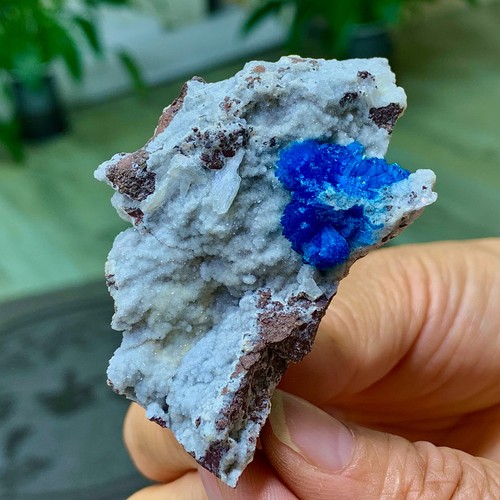 Cavansite spumante 53g - cavansite,