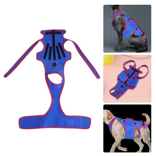 Gilet cane addestramento - gilet,