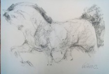 Quadro "Cavallo" carta 44 x 63