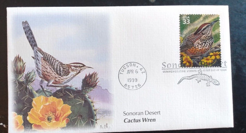 Cactus wren bird - wren, sonoran