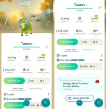 Shiny Tauros XXS | Registrato