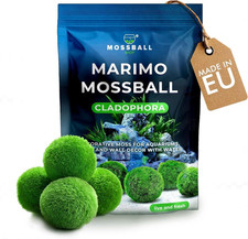 15 + 1 Palline Di Muschio per