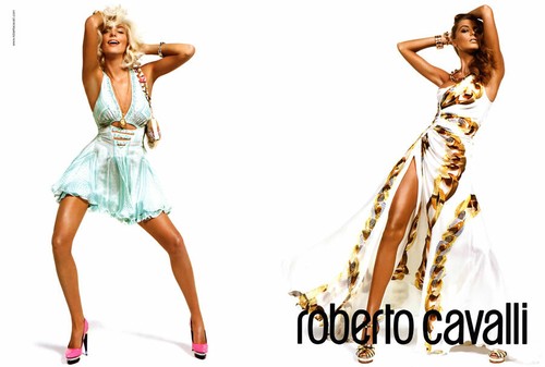 2009 cavalli inez van - 2009,