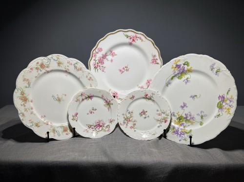 Set piatti esposizione 5 - piatti, da