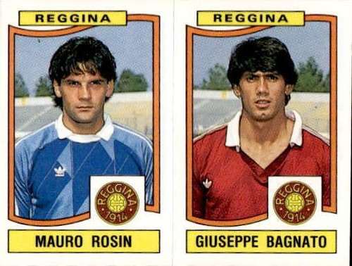 Figurina new calciatori - figurina, panini