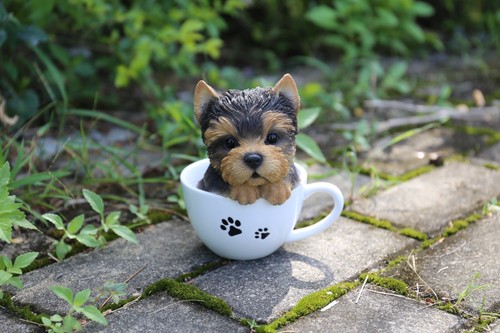 Tazza tè yorkshire - da,