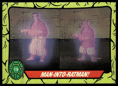 1989 topps teenage mutant - teenage,