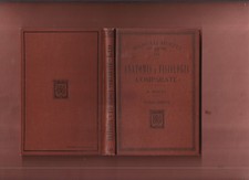 Manuale+R.Besta ANATOMIA E FISIOLOGIA COMPARATE-59 ill.IIaEd-Ed.U.HOEPLI MI 1907