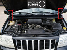 Pistoncini a Gas Molle