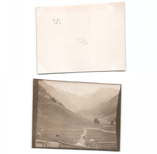Baviera tirolo - (b6835382),
