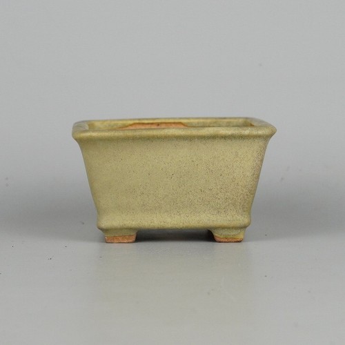Vaso per bonsai giapponese