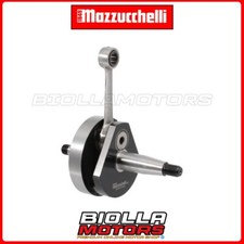 100012013 ALBERO MOTORE