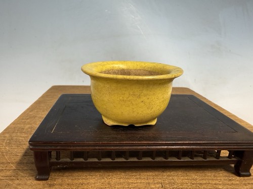 Bellissimo vaso per - , bonsai