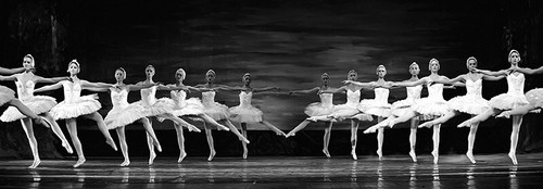 Quadro ballerine danza - ballerine,