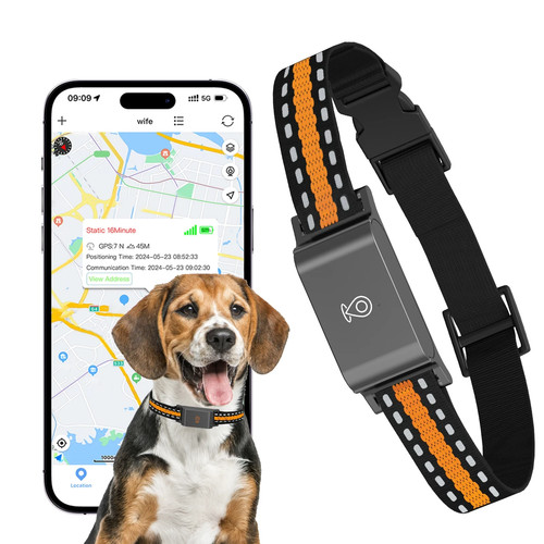 Collare gps cane gatto - collare,