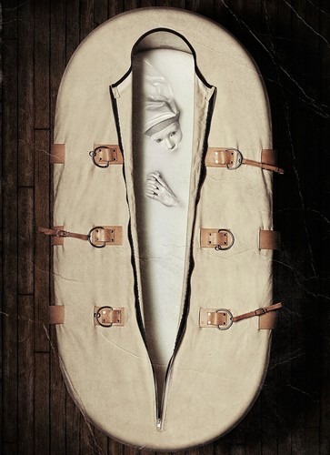 American horror story asylum - american,