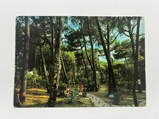 TIRRENIA ( FROSINONE ) IL GIARDINO