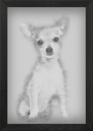Chihuahua cucciolo mesi o - cucciolo,