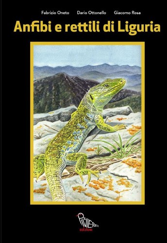 Libri oneto fabrizio - libri,
