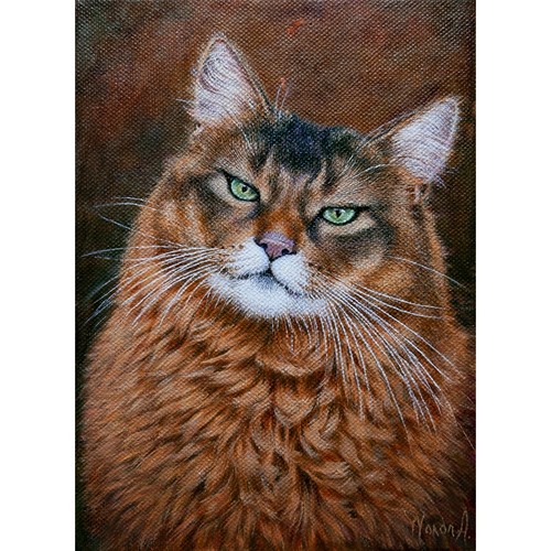Anastasia woron sguardo - anastasia, “sguardo