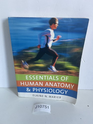 Essentials human anatomy - essentials, of