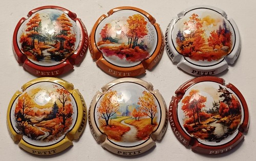 Belles capsules champagne - 6,