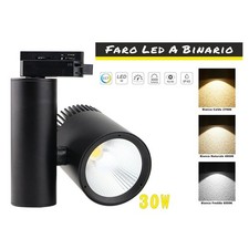 Faro Lampada Led A Binario 30W