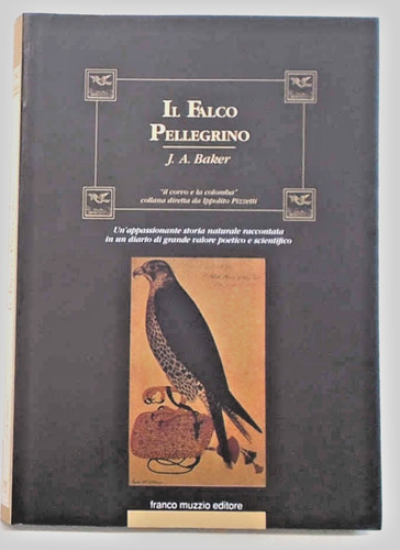 Baker falco pellegrino - baker,